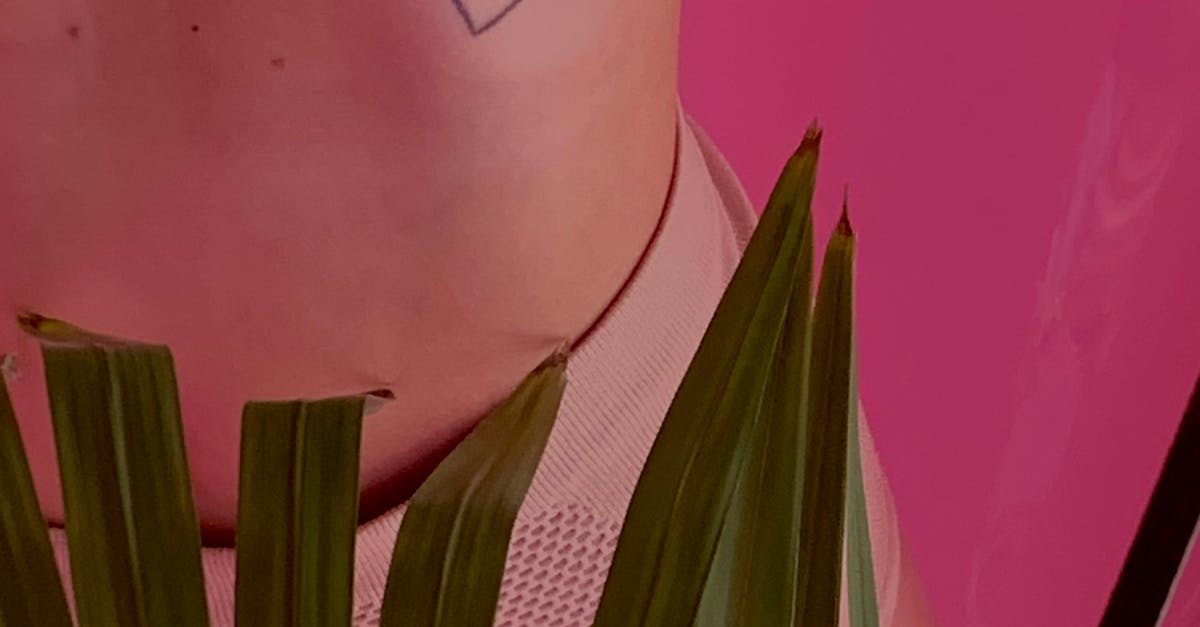 Collective Identity: How Palm Beach Artists Reflect Community Values