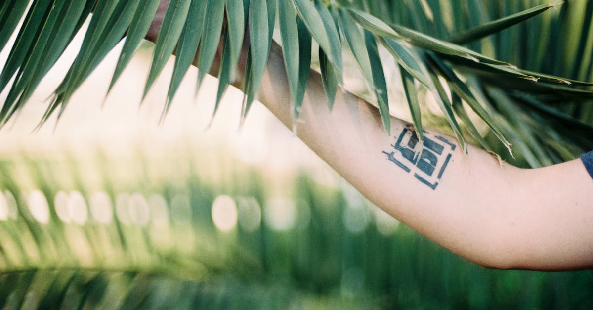 The Evolution of Tattoo Shops as Community Hubs in Palm Beach