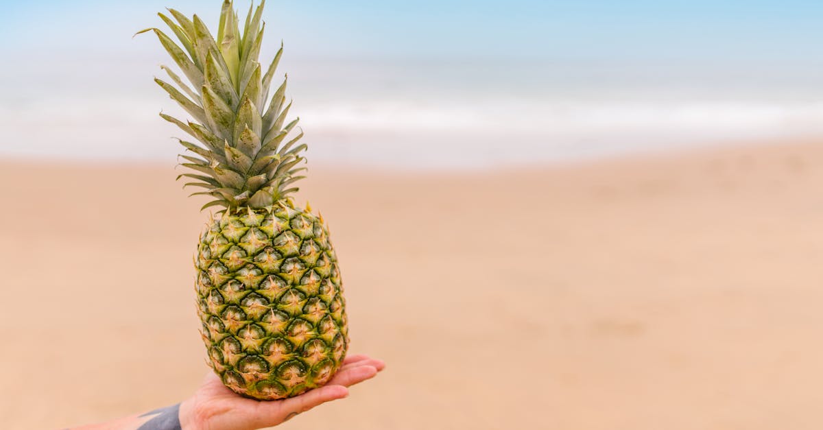 The Influence of Salvador Dalí on Palm Beach Tattoo Artists